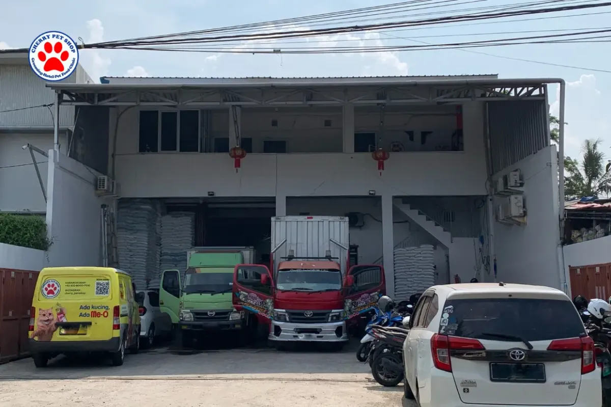 Mengapa Cherry Pet Shop Jadi Pilihan Utama di Cilacap untuk Perawatan Hewan Peliharaan?